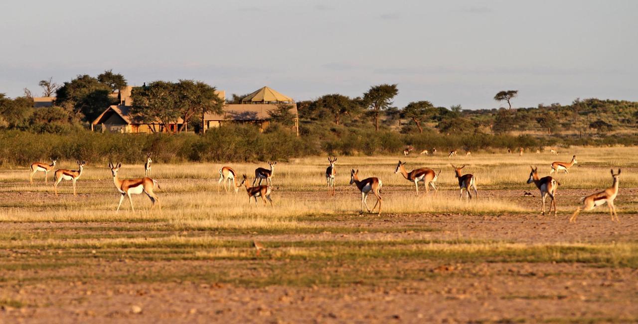 Suricate Tented Kalahari Lodge Hoachanas Esterno foto