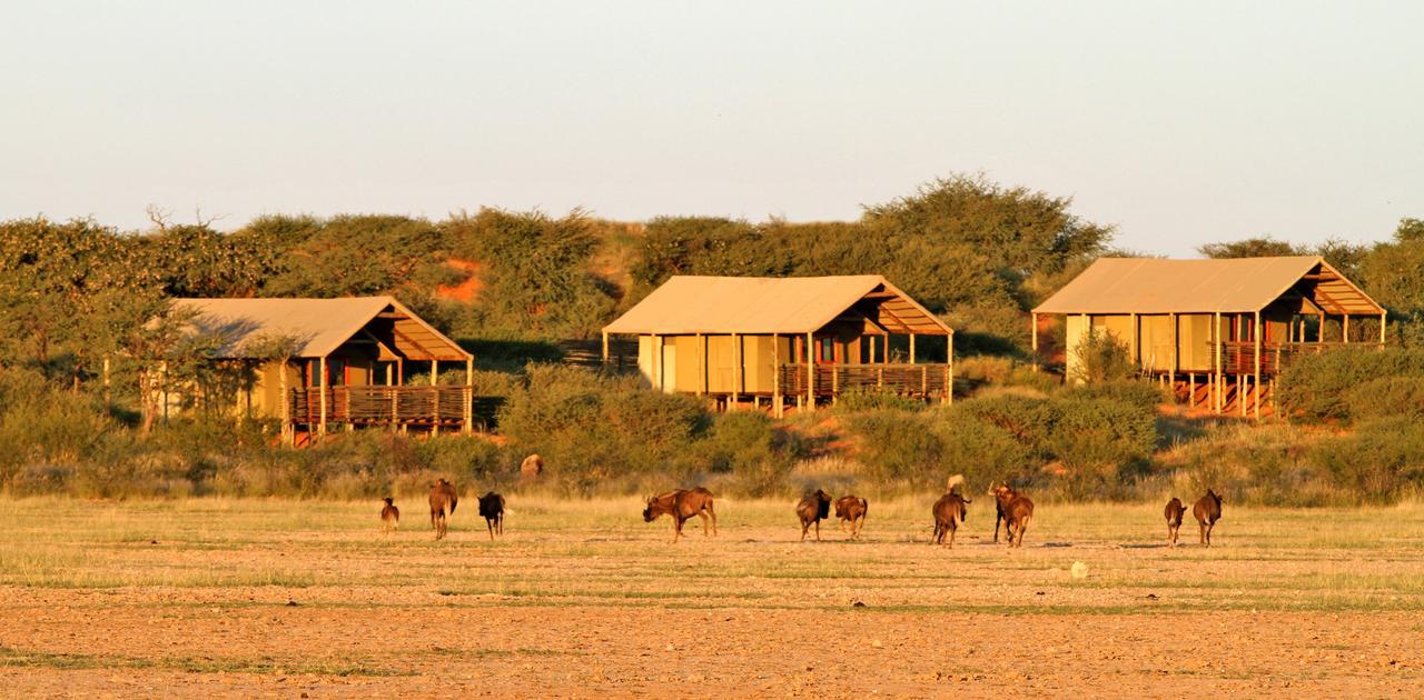 Suricate Tented Kalahari Lodge Hoachanas Esterno foto